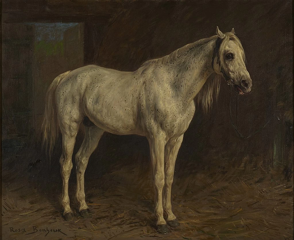 Cavallo bianco - Princeton University Art Museum